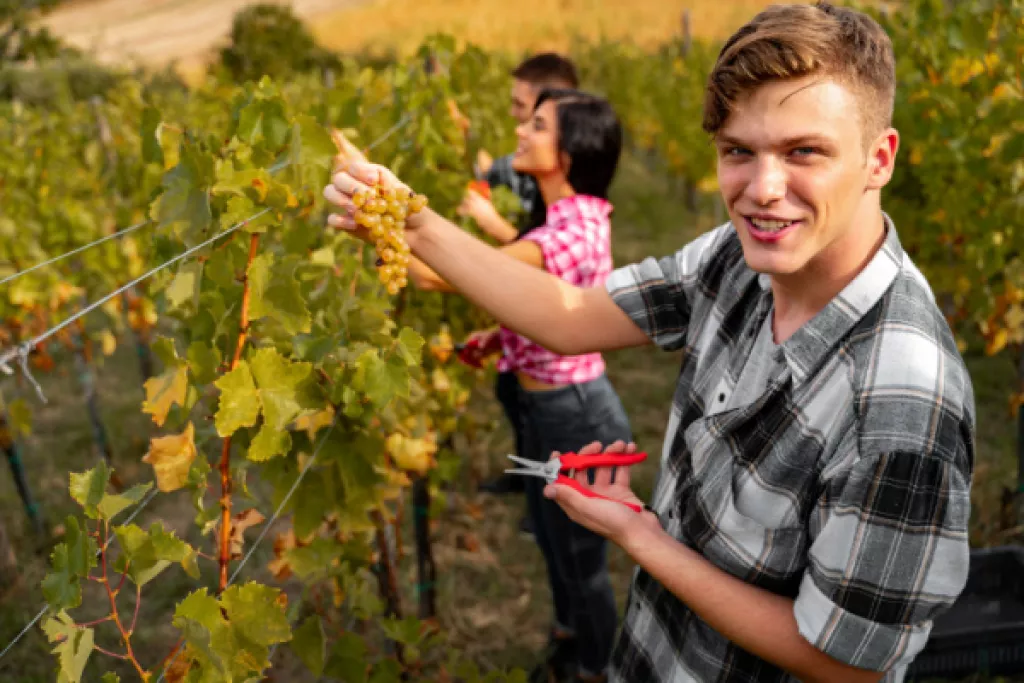 Embauche de travailleurs saisonniers agricoles : ce que vous devez savoir ! Embauche de travailleurs saisonniers agricoles : ce que vous devez savoir !