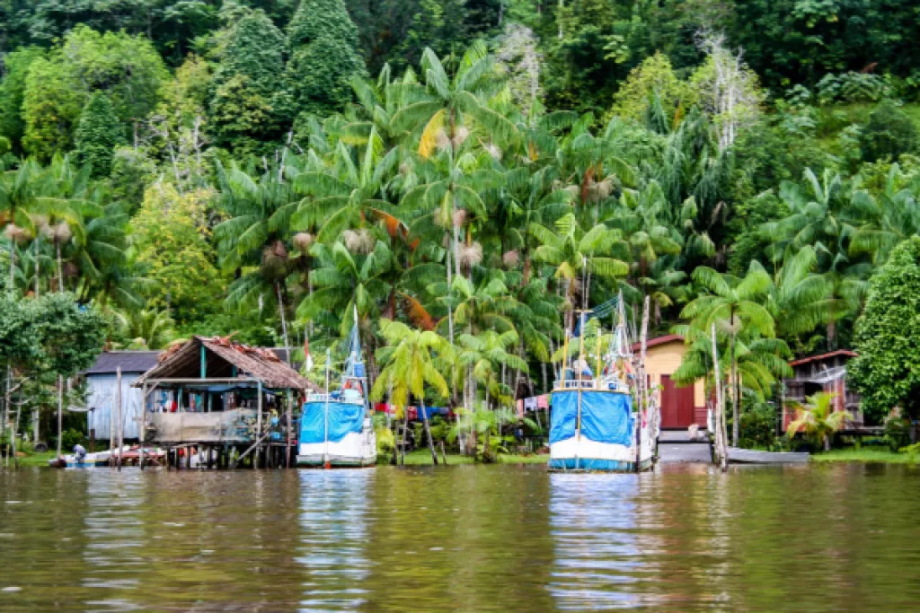 Guyane : un accord pour relancer la filière pêche Guyane : un accord pour relancer la filière pêche