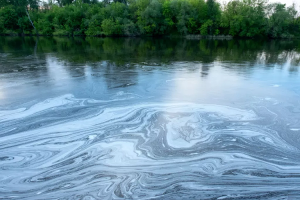 Préjudice écologique : réparation en nature et/ou indemnité ? Préjudice écologique : réparation en nature et/ou indemnité ?