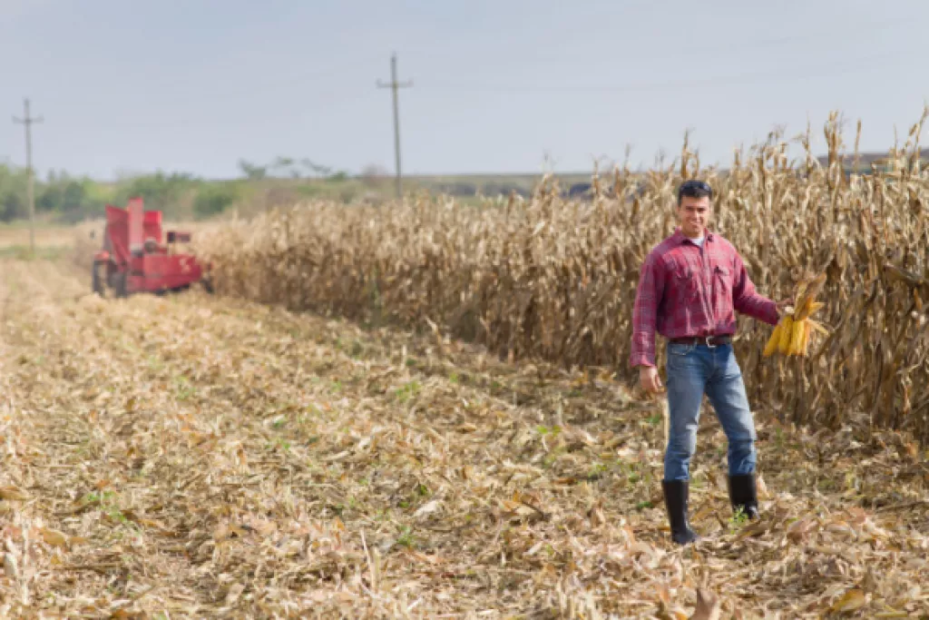 Installation d’un agriculteur : l’âge (ne) fait (pas) tout ? Installation d’un agriculteur : l’âge (ne) fait (pas) tout ?