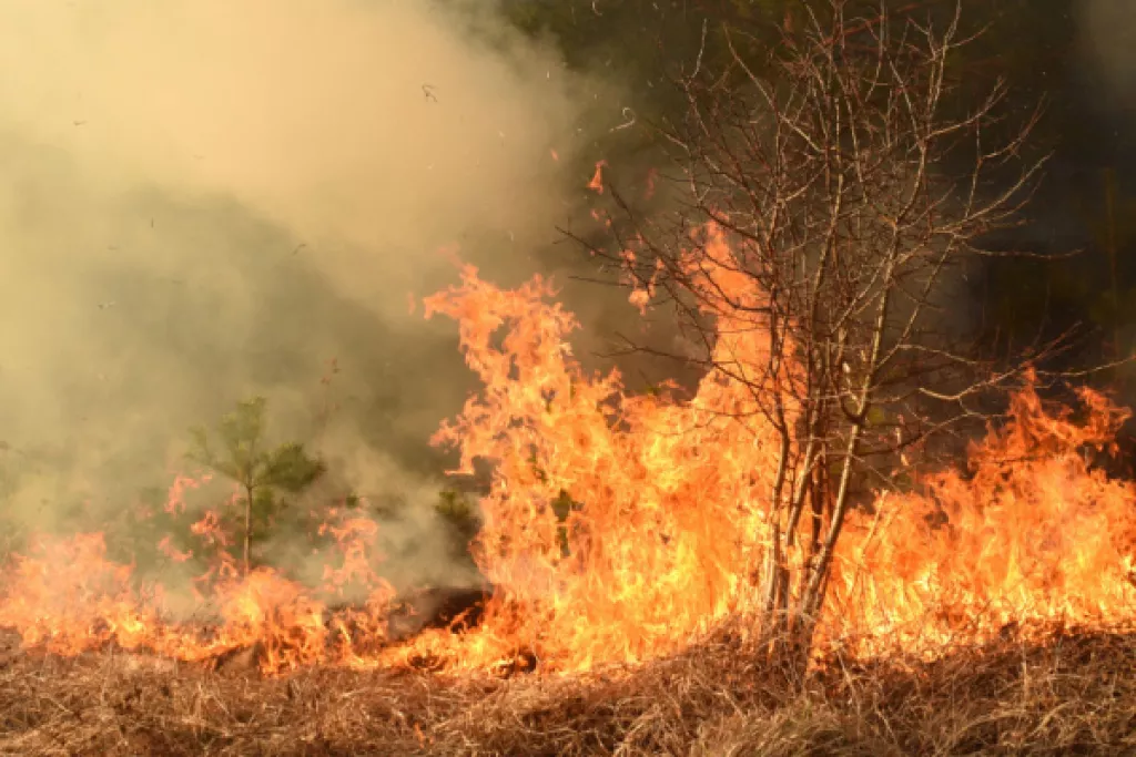 Prévention et lutte contre les incendies : renforcement de la réglementation Prévention et lutte contre les incendies : renforcement de la réglementation