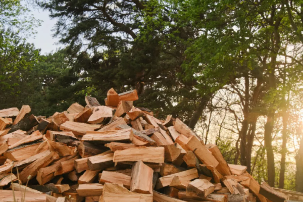 TVA pour le bois de chauffage : une forêt dense ! TVA pour le bois de chauffage : une forêt dense !