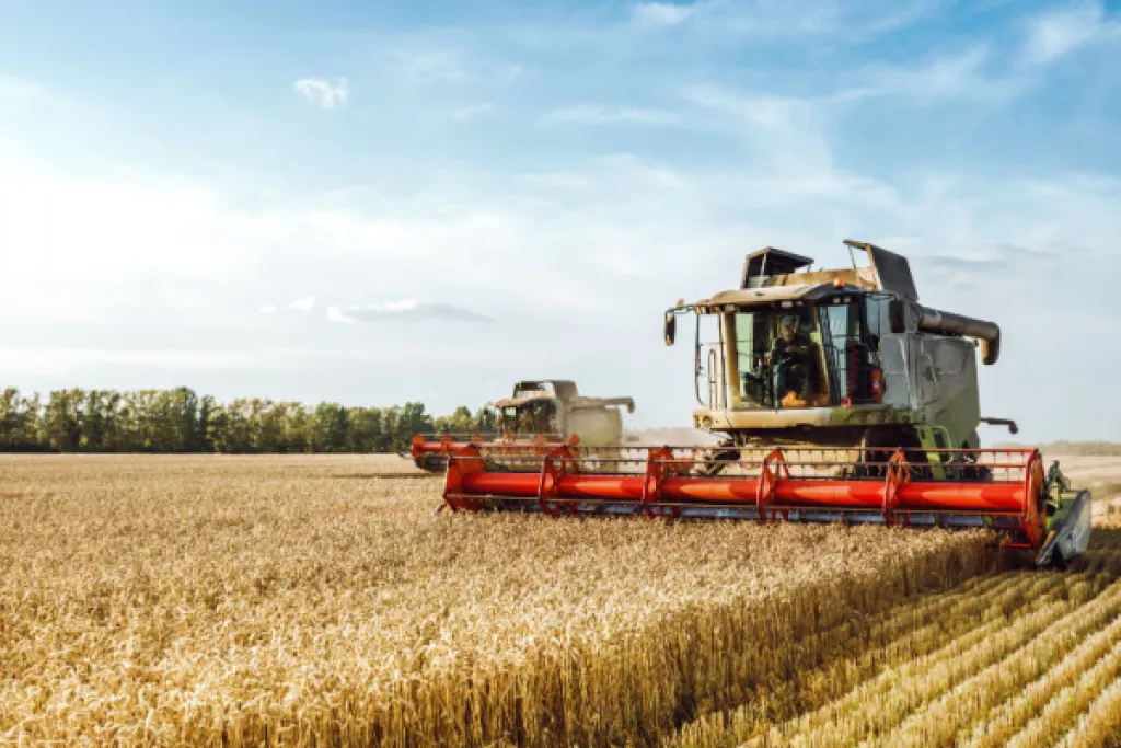 Vente d’entreprise agricole : le statut, ça compte ! Vente d’entreprise agricole : le statut, ça compte !