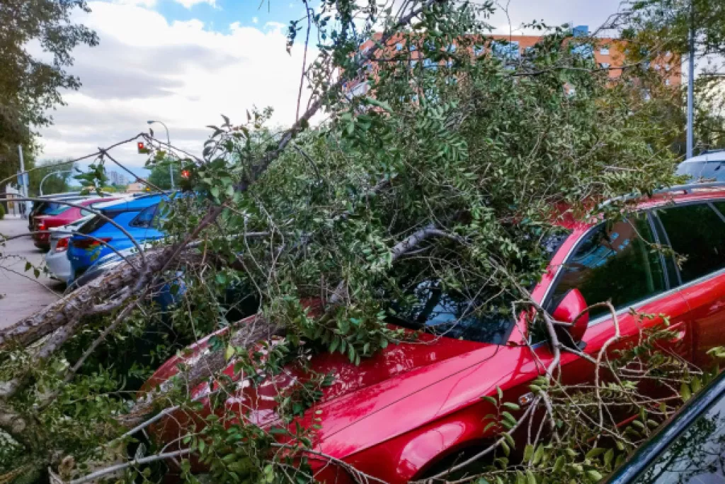 Tempête Ciaran : l’État vole au secours des entrepreneurs Tempête Ciaran : l’État vole au secours des entrepreneurs
