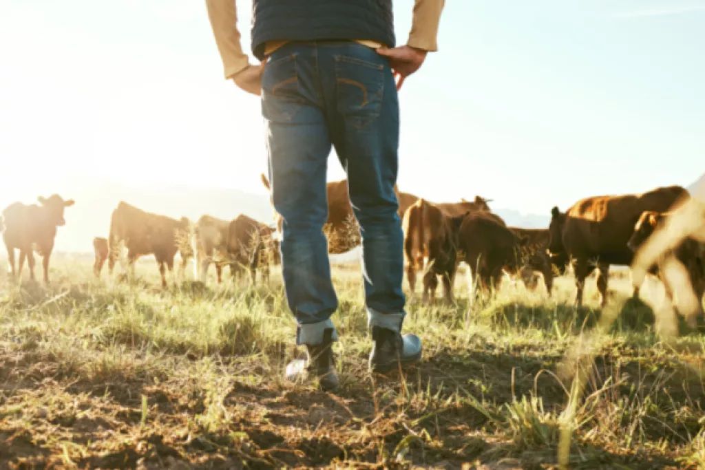 Agriculture : un début d’année 2024 dense Agriculture : un début d’année 2024 dense