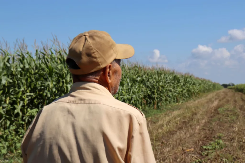 Bail rural : le consentement du bailleur en question… Bail rural : le consentement du bailleur en question…