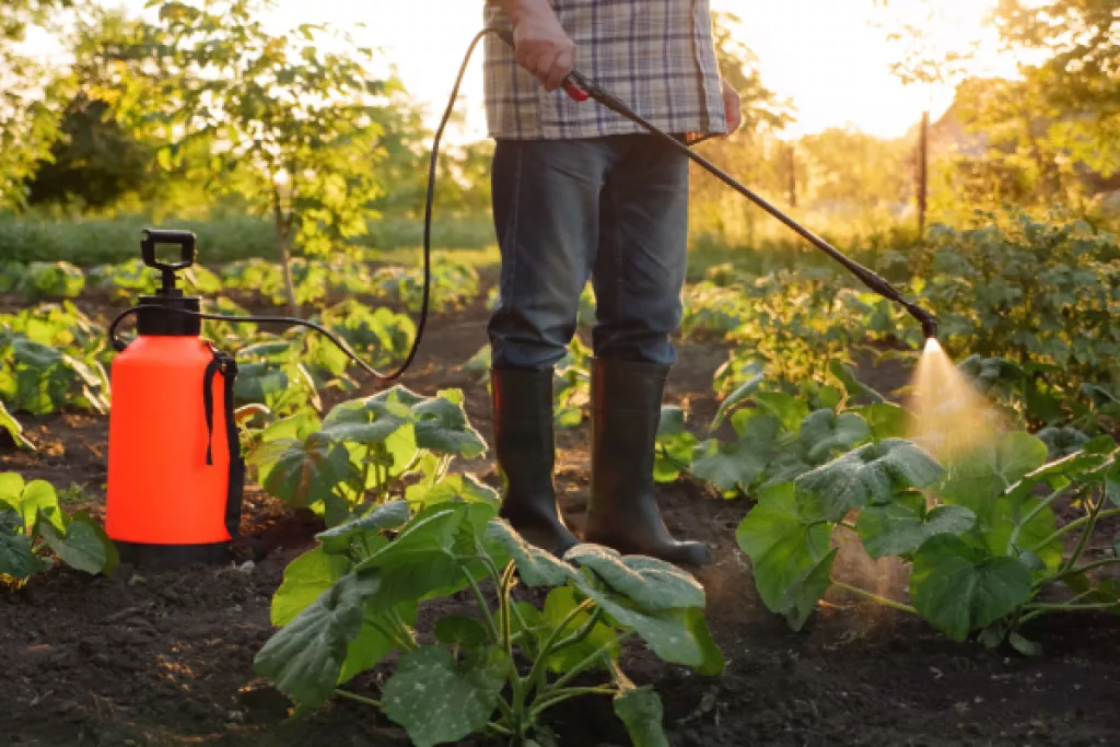 Pesticides : rappels utiles sur la réglementation Pesticides : rappels utiles sur la réglementation