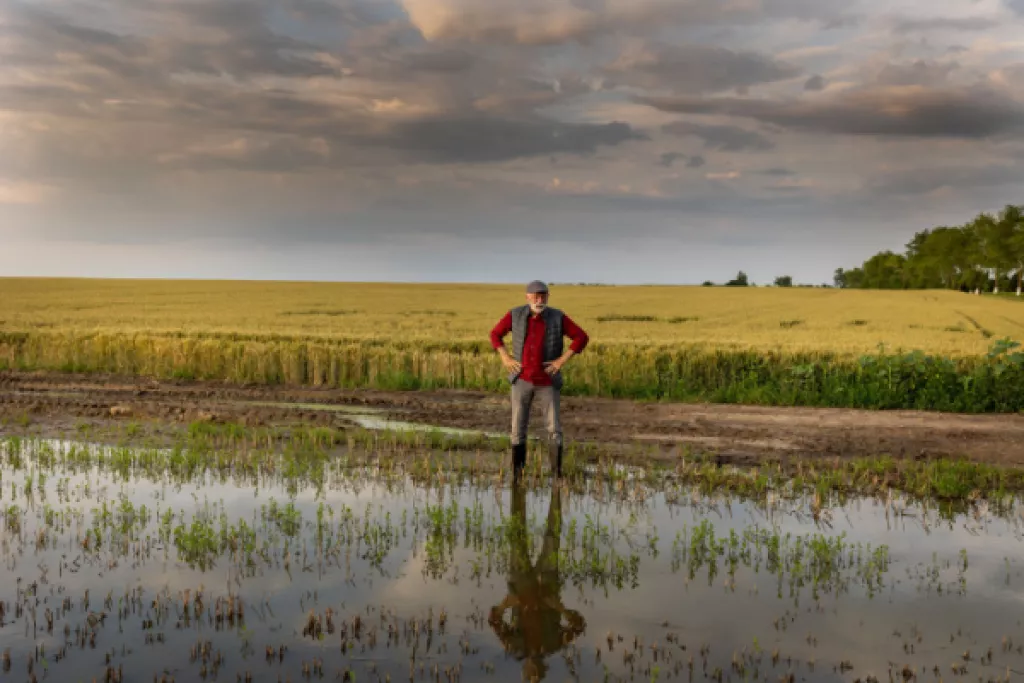 Calamités agricoles 2023 : à épisodes exceptionnels, indemnisation exceptionnelle Calamités agricoles 2023 : à épisodes exceptionnels, indemnisation exceptionnelle