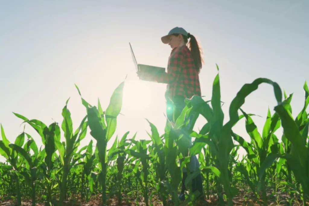 Dirigeants agricoles : quelle nouveauté pour votre déclaration de revenus ?