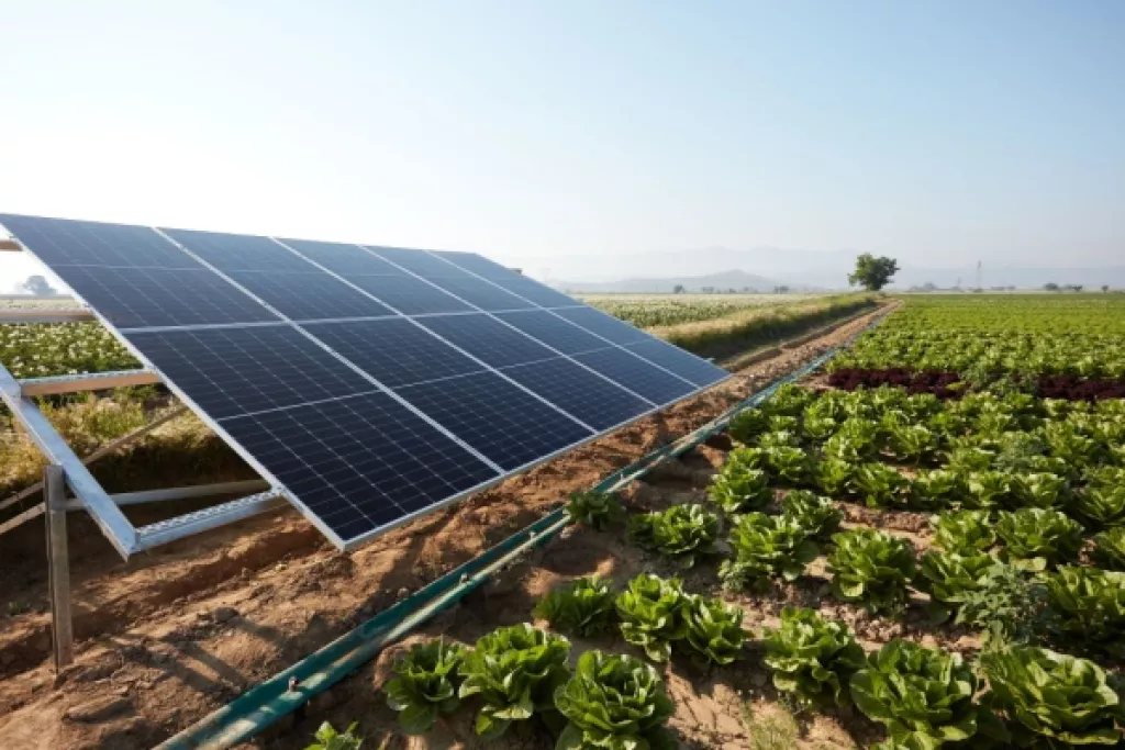 Agrivoltaïque : le cadre est posé Agrivoltaïque : le cadre est posé