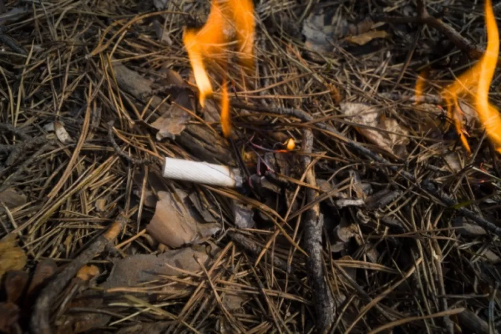 Prévention des incendies de forêts : la responsabilité élargie des producteurs (REP) du tabac est mise au travail ! Prévention des incendies de forêts : la responsabilité élargie des producteurs (REP) du tabac est mise au travail !