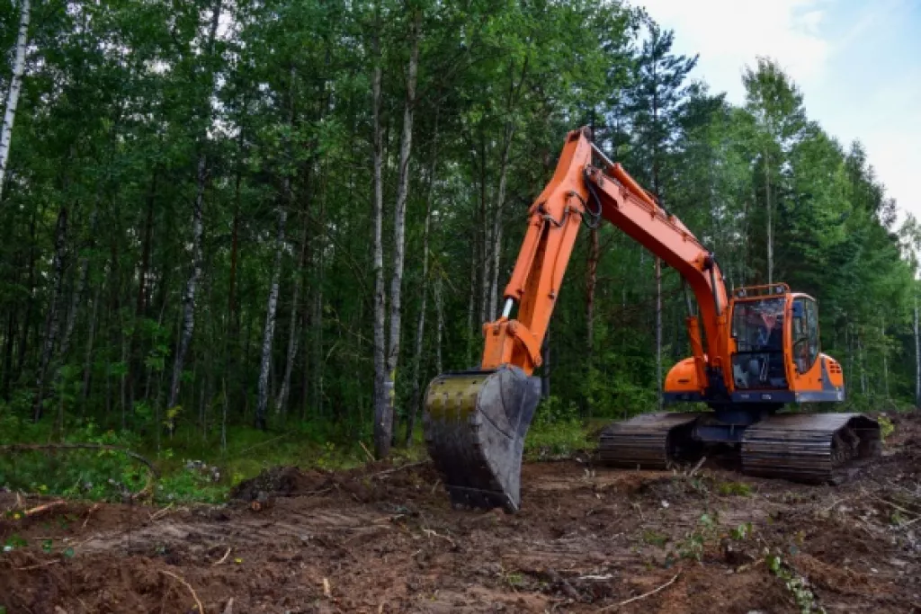 Travaux de défrichement : ne pas aller plus vite que la musique… Travaux de défrichement : ne pas aller plus vite que la musique…
