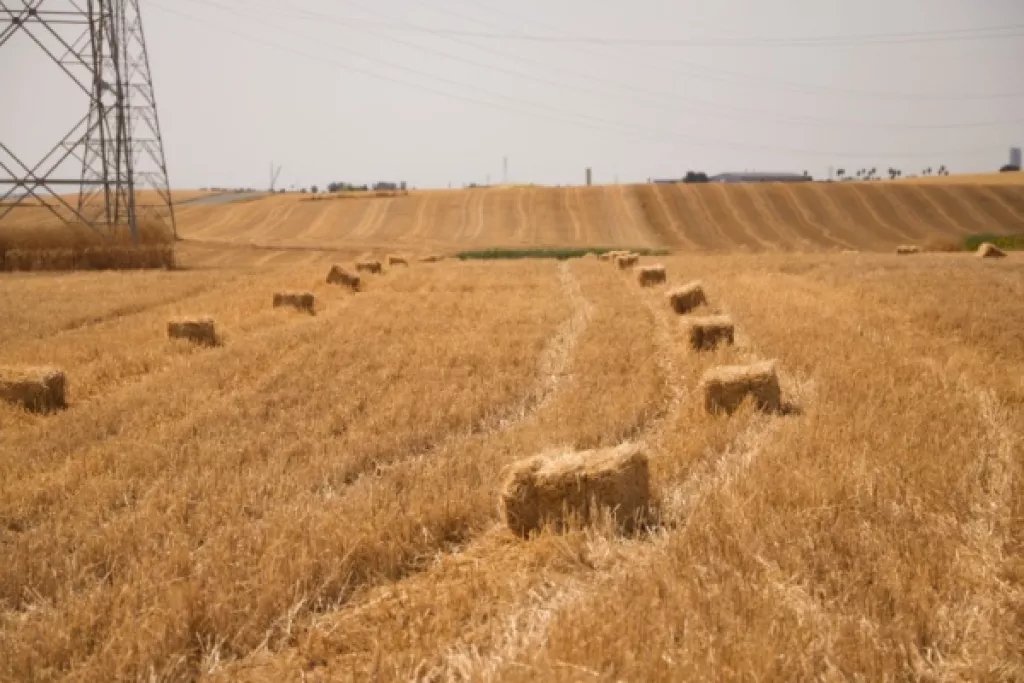 Un exploitant agricole… qui ne l’est pas vraiment ? Un exploitant agricole… qui ne l’est pas vraiment ?