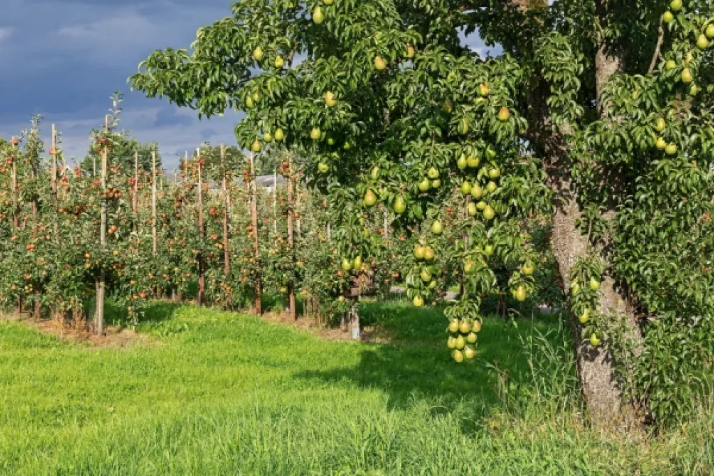 Aides aux agriculteurs : les soldes pour la campagne 2023 connus Aides aux agriculteurs : les soldes pour la campagne 2023 connus