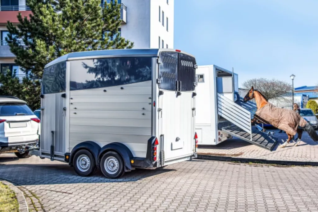 Véhicules dédiés au transport de chevaux : une déduction de TVA bien scellée ! Véhicules dédiés au transport de chevaux : une déduction de TVA bien scellée !