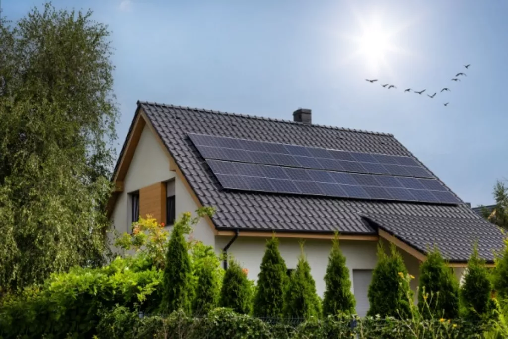 Procédures collectives et poursuites individuelles : ne tombez pas dans le panneau (solaire) ! Procédures collectives et poursuites individuelles : ne tombez pas dans le panneau (solaire) !