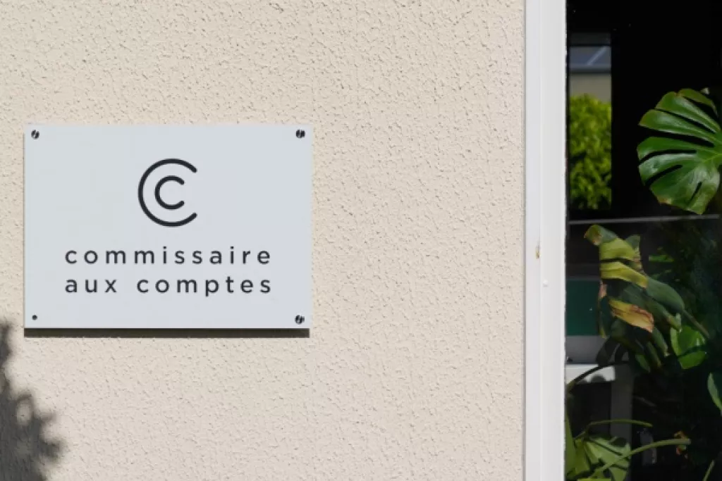 Commissaires aux comptes : homologation de onze normes d'exercice professionnel révisées Commissaires aux comptes : homologation de onze normes d'exercice professionnel révisées