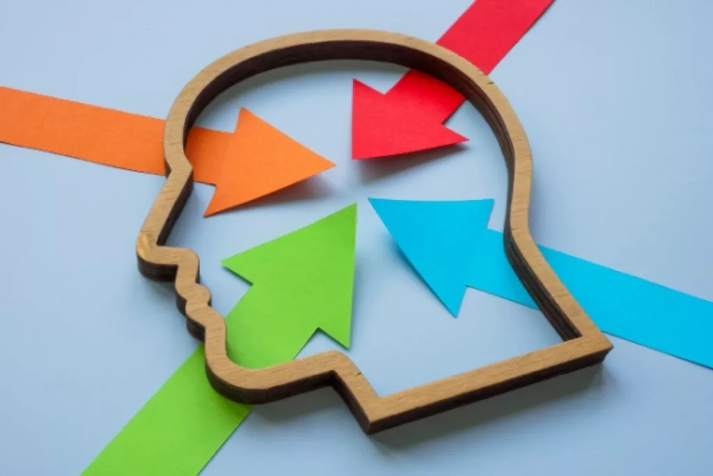 Loi sur les troubles du neuro-développement (TND) : diagnostic, accompagnement et inclusion au programme Loi sur les troubles du neuro-développement (TND) : diagnostic, accompagnement et inclusion au programme