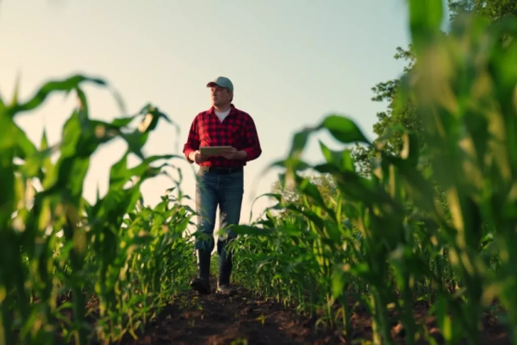 Aides agricoles : de nouveaux montant et de nouvelles conditions Aides agricoles : de nouveaux montant et de nouvelles conditions