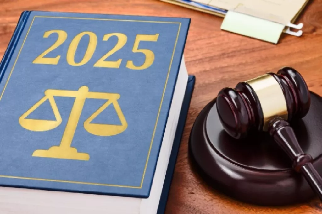 En attente de la loi de finances 2025 : des précisions bienvenues ! En attente de la loi de finances 2025 : des précisions bienvenues !