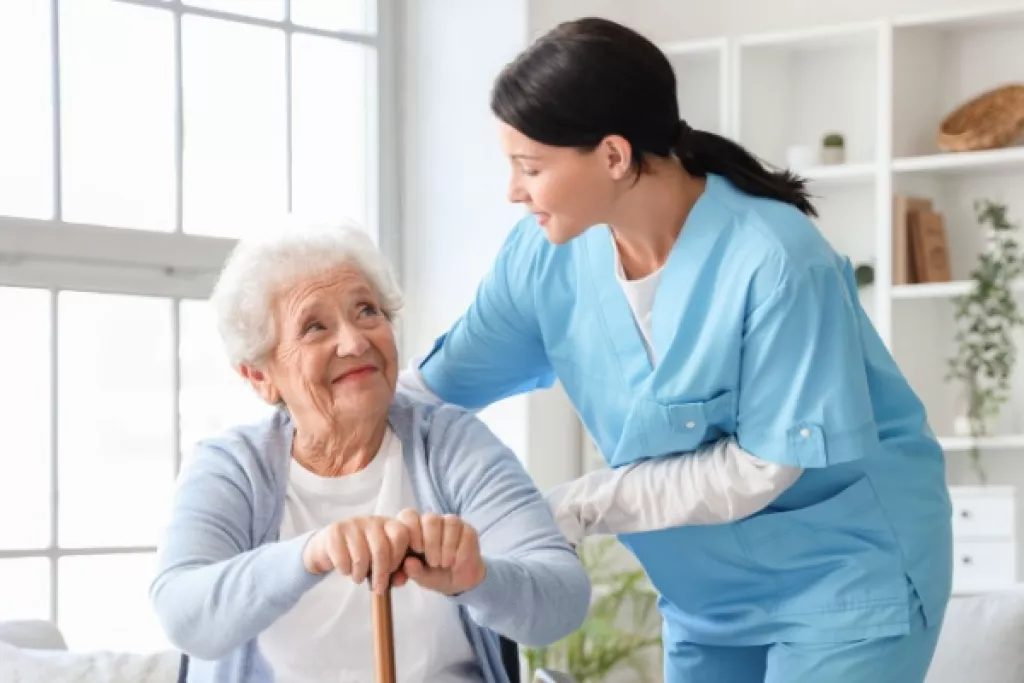 Services à la personnes et cotisations sociales dématérialisées : quelles pièces fournir ? Services à la personnes et cotisations sociales dématérialisées : quelles pièces fournir ?