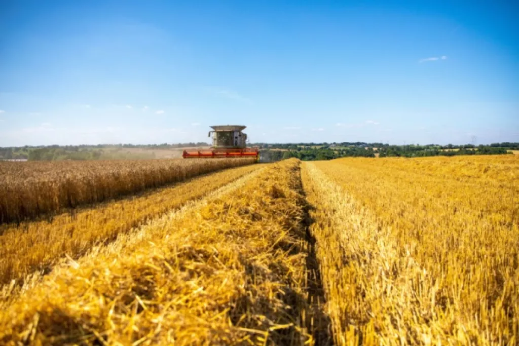 Secteur agricole : ce qui va changer en 2025 Secteur agricole : ce qui va changer en 2025