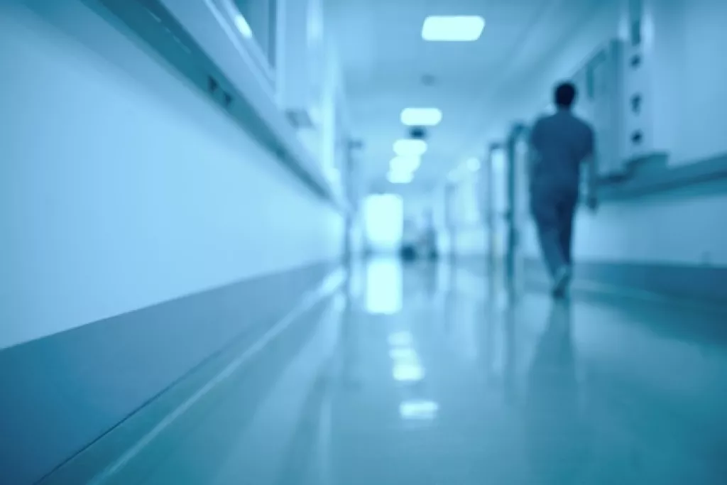 PDSA : plus de professionnels pour des meilleurs soins PDSA : plus de professionnels pour des meilleurs soins