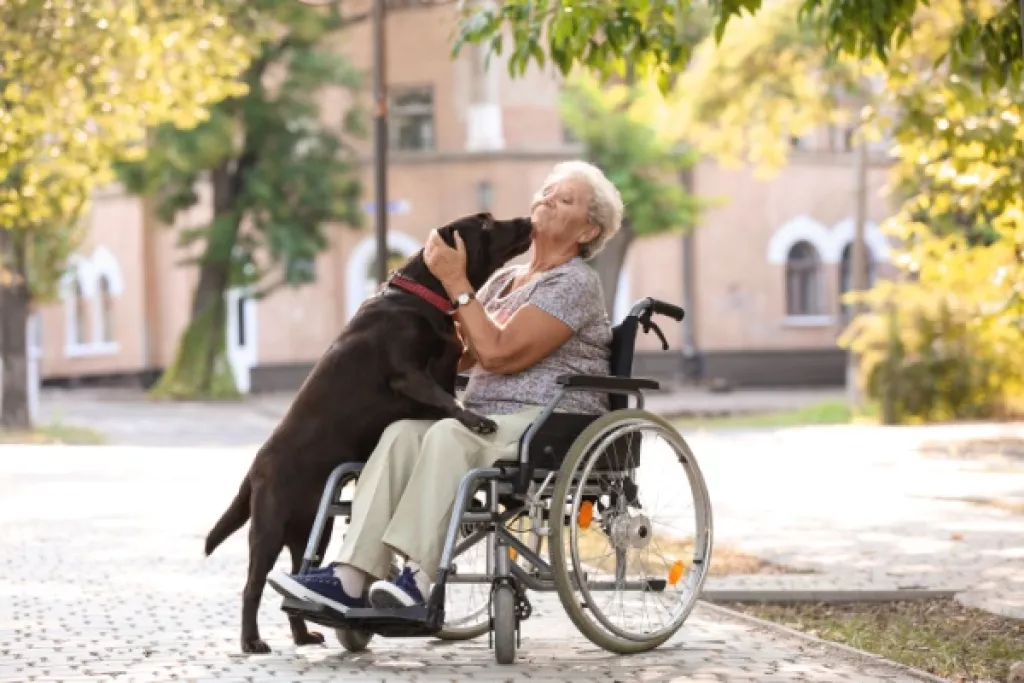 EHPAD et animaux de compagnie des résidents : les conditions sont connues ! EHPAD et animaux de compagnie des résidents : les conditions sont connues !
