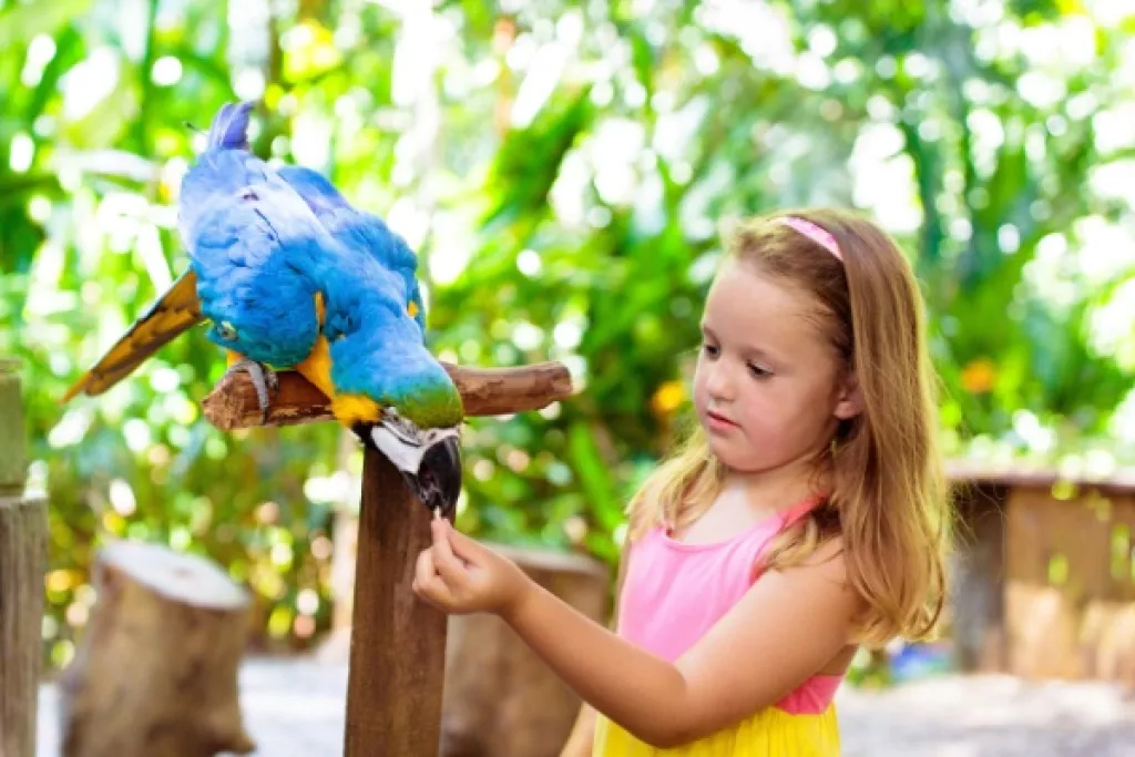 Parcs zoologiques : vers une fin du taux réduit de TVA ? Parcs zoologiques : vers une fin du taux réduit de TVA ?