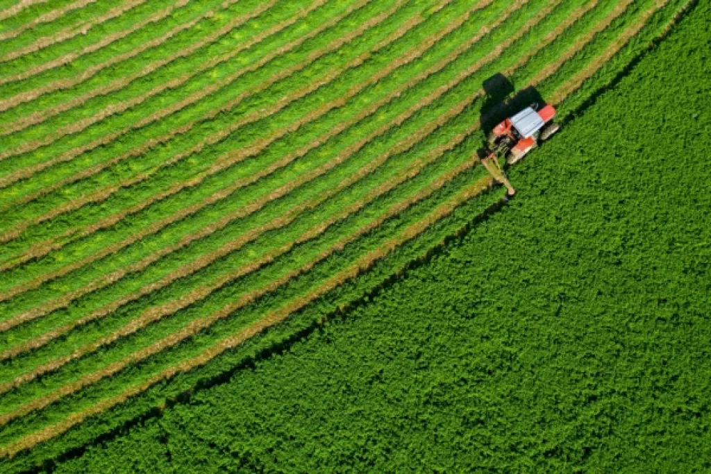 Souveraineté alimentaire : du nouveau ? Souveraineté alimentaire : du nouveau ?