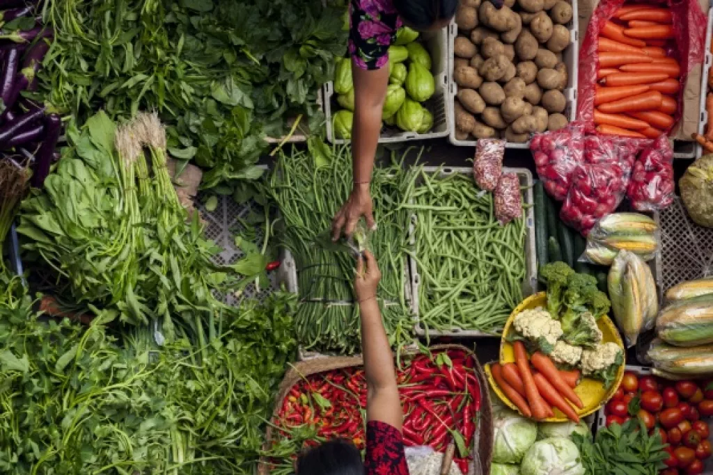 Loi sur la stabilité économique et la compétitivité du secteur agroalimentaire : quelles nouveautés ? Loi sur la stabilité économique et la compétitivité du secteur agroalimentaire : quelles nouveautés ?