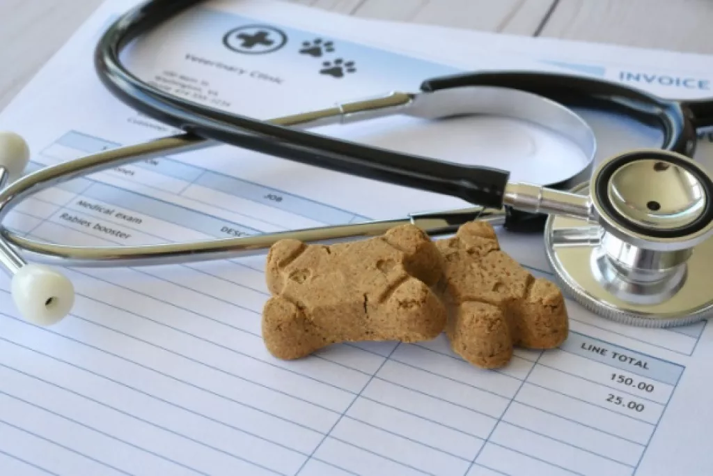 Frais de vétérinaires et d’alimentation animale : une révision de la TVA en vue pour les SPA ? Frais de vétérinaires et d’alimentation animale : une révision de la TVA en vue pour les SPA ?