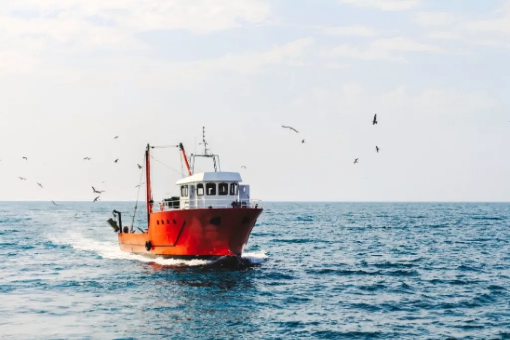 Exonération partielle d’impôt sur le revenu des marins pêcheurs : pour quel montant ? Exonération partielle d’impôt sur le revenu des marins pêcheurs : pour quel montant ?