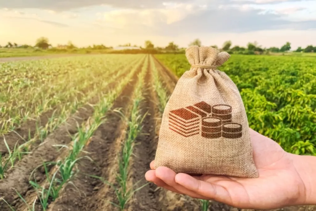 Jeunes agriculteurs : du nouveau du côté des exonérations sociales ! Jeunes agriculteurs : du nouveau du côté des exonérations sociales !