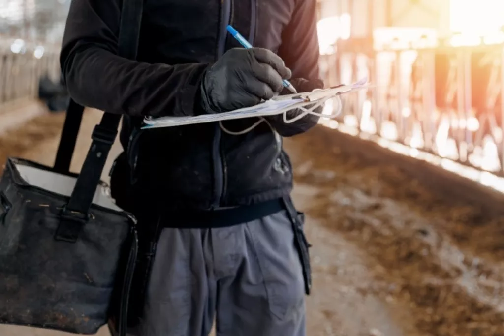 Recyclage et élimination des sous-produits animaux : une nouvelle réglementation disponible Recyclage et élimination des sous-produits animaux : une nouvelle réglementation disponible