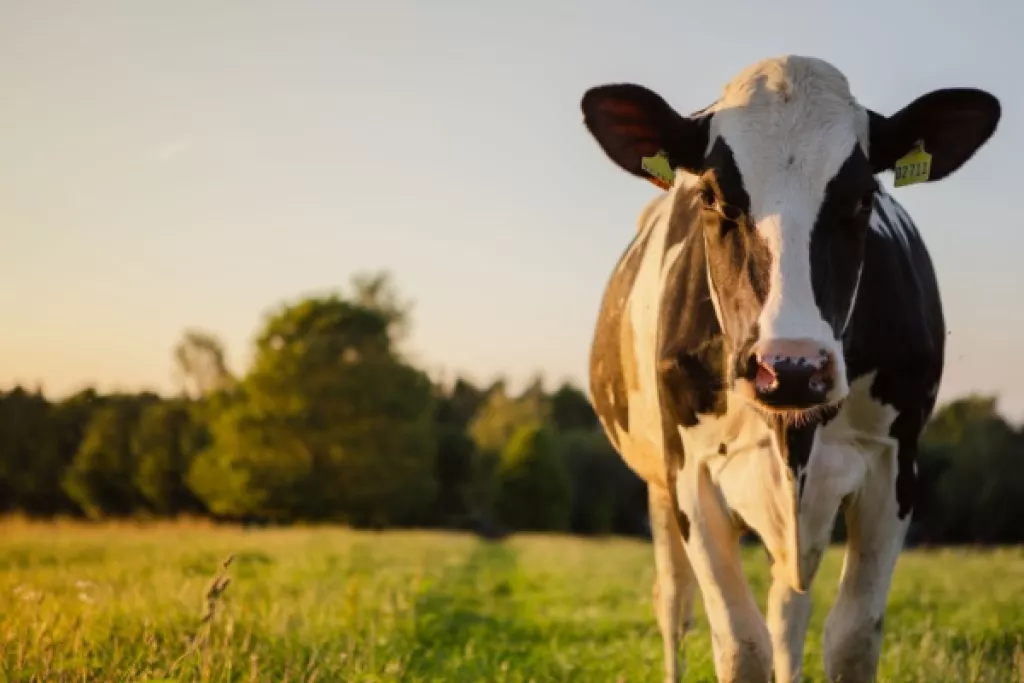 Agriculture : le point sur les mesures d’aide Agriculture : le point sur les mesures d’aide
