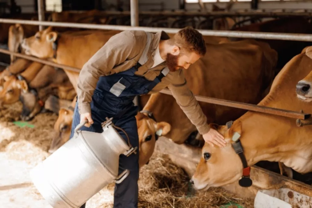 Nouvelles mesures fiscales en faveur du secteur agricole : c’est déjà parti ? Nouvelles mesures fiscales en faveur du secteur agricole : c’est déjà parti ?