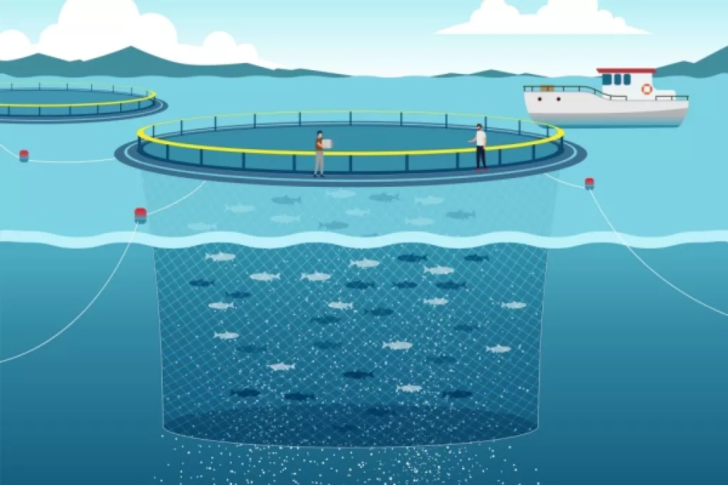Pisciculture marine et concession d’exploitation : des critères à connaître Pisciculture marine et concession d’exploitation : des critères à connaître
