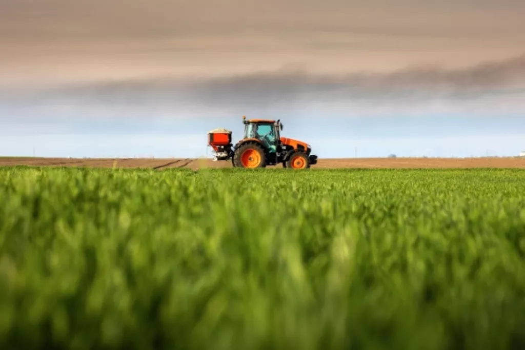 FranceAgriMer et organisations de producteurs : des sanctions possibles ? 