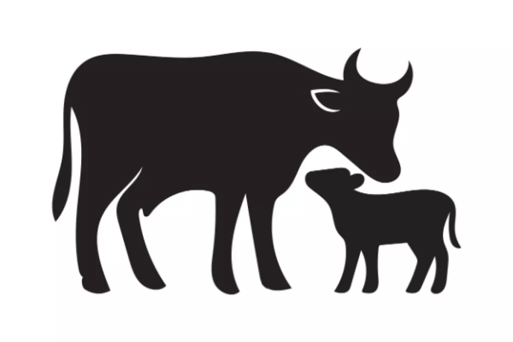Secteur agricole : le point sur les aides en juin 2026