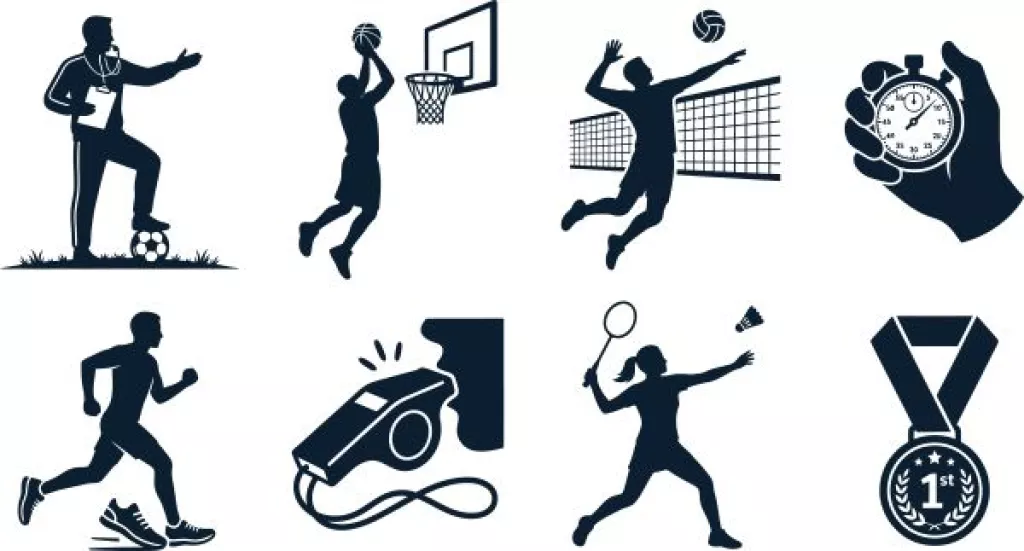 Organisation, gestion et financement du sport professionnel : réforme en cours