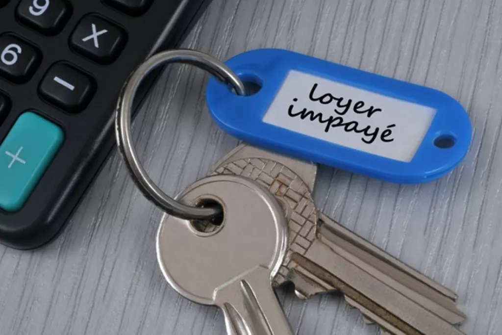 Expulsion locative pour impayé : réalisation obligatoire d’un diagnostic social et financier