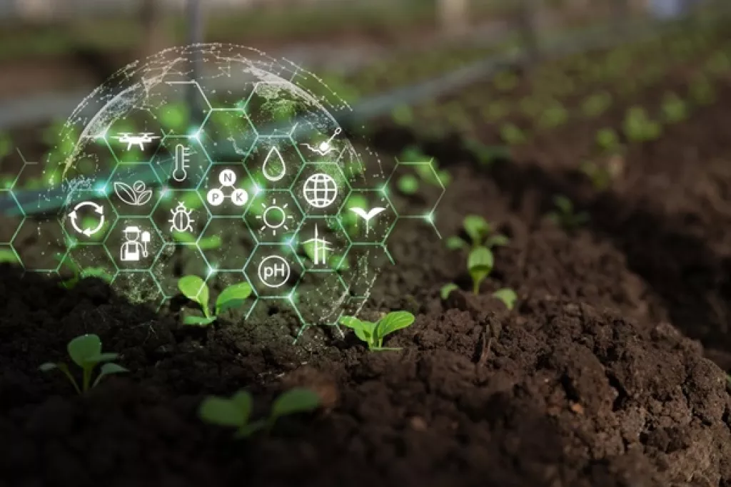 Agriculture : qui pilote la stratégie nationale d’installation et de transmission ?