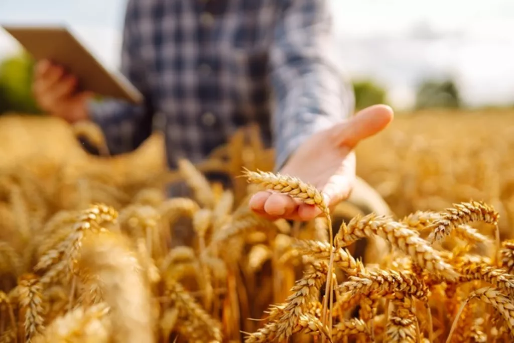 Cotisations agricoles : du nouveau pour le calcul en 2027