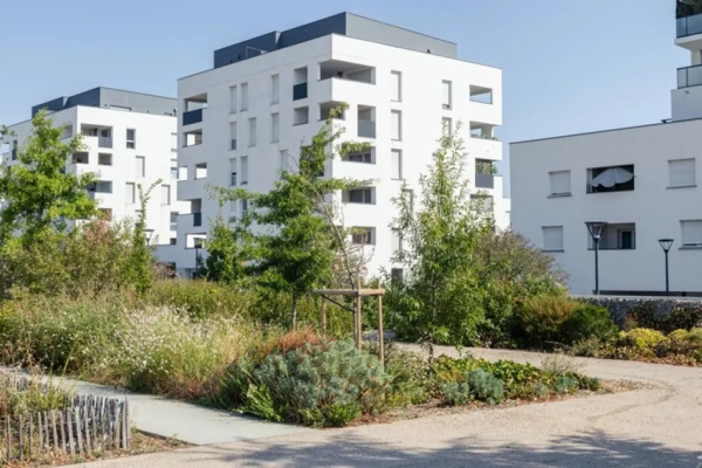 Investissement outre-mer et réduction d’impôt : des délais à respecter 